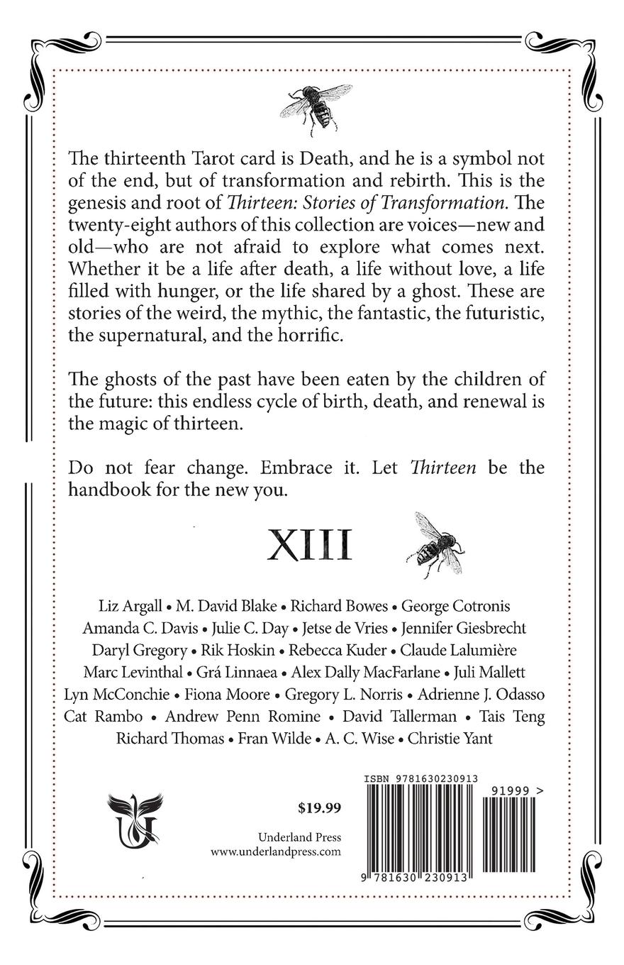 Rückseitencover Thirteen