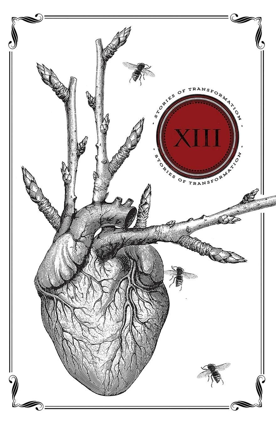 Vorderes Coverbild Thirteen