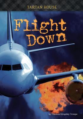 Vorderes Coverbild Flight Down