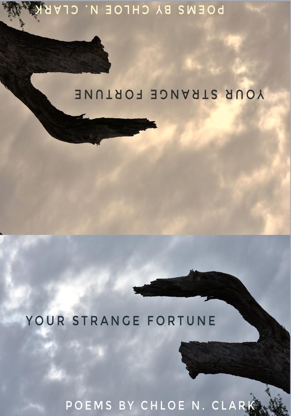 Vorderes Coverbild Your  Strange Fortune