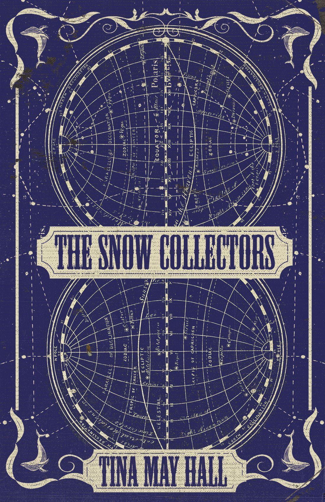 Vorderes Coverbild The Snow Collectors