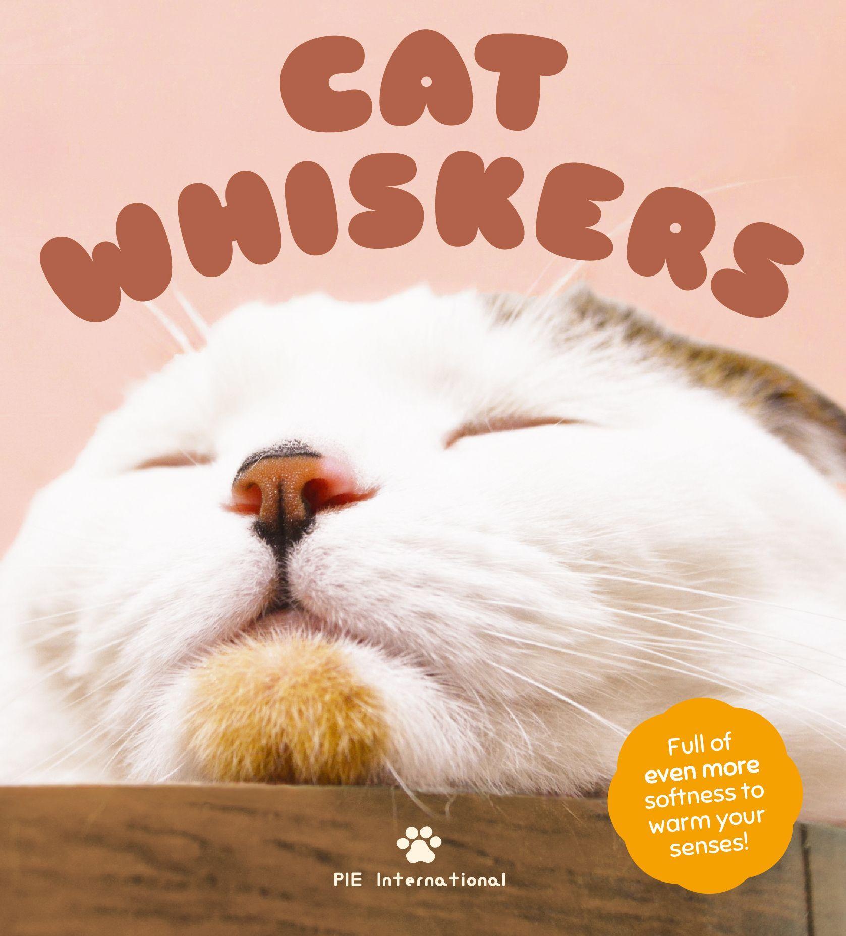 Vorderes Coverbild Cat Whiskers