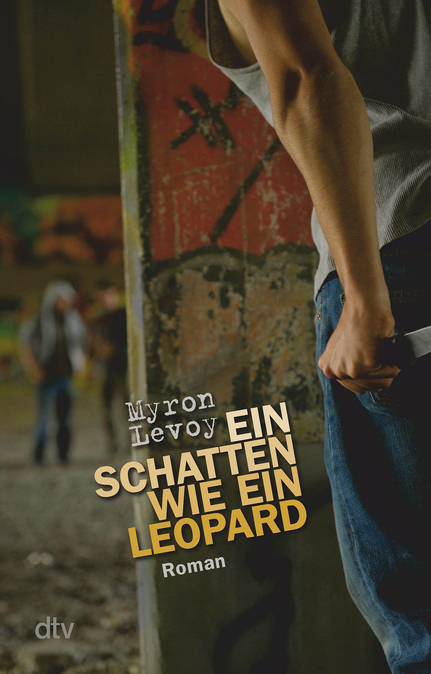 Vorderes Coverbild Ein Schatten wie ein Leopard