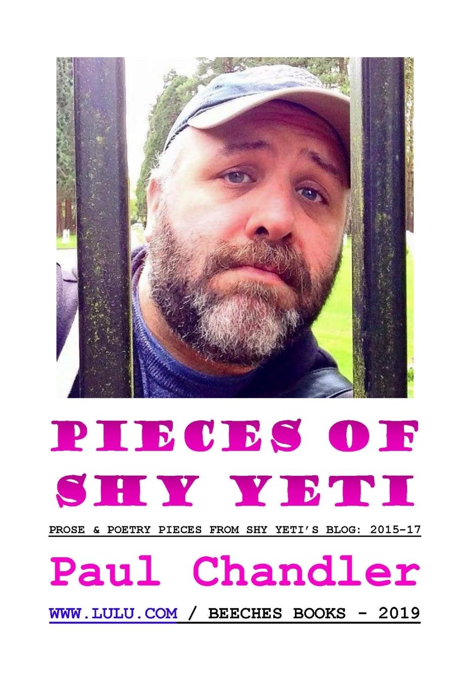 Vorderes Coverbild PIECES OF SHY YETI
