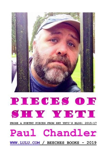 Vorderes Coverbild Pieces of Shy Yeti