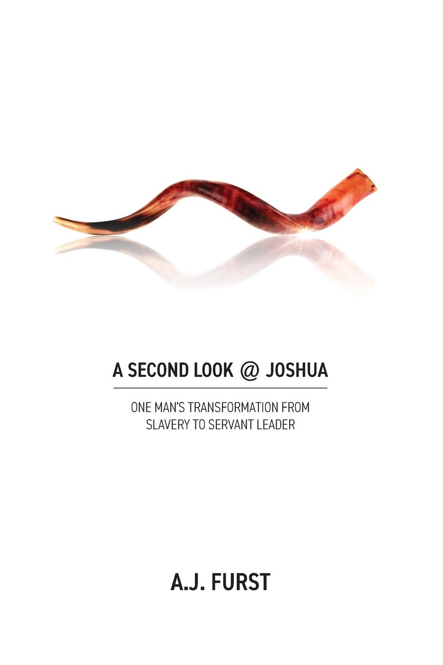 Vorderes Coverbild A Second Look @ Joshua