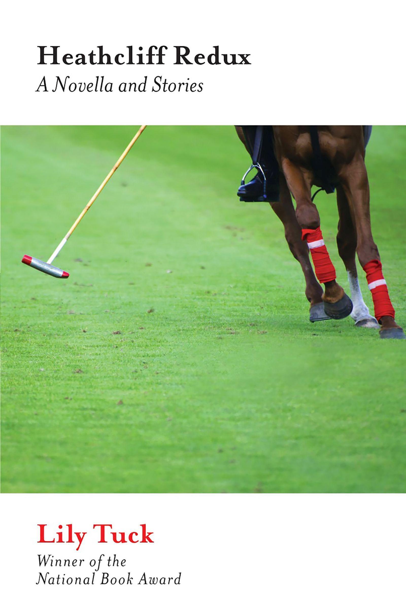 Vorderes Coverbild Heathcliff Redux