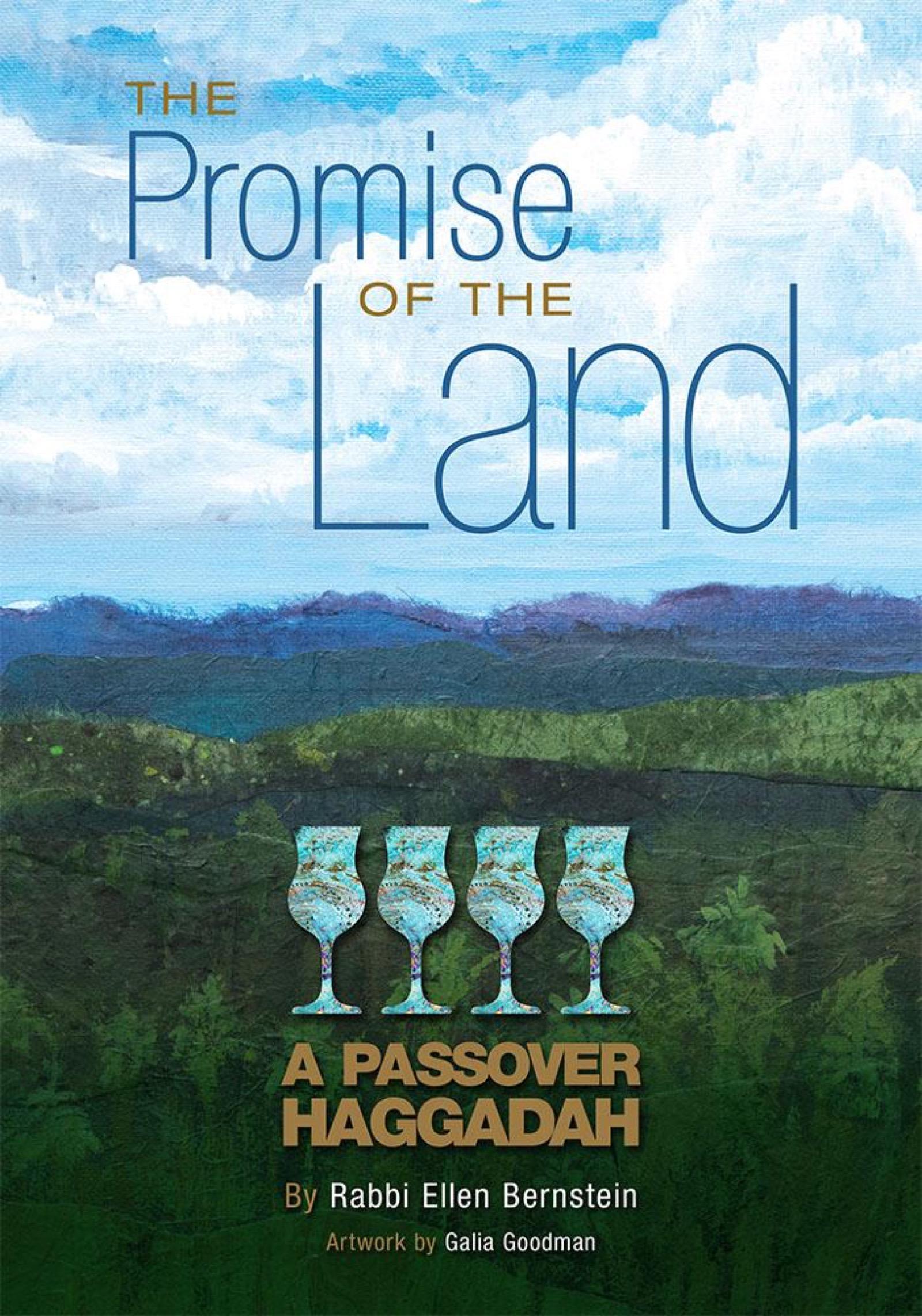 Vorderes Coverbild The Promise of the Land: A Passover Haggadah