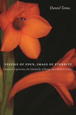 Vorderes Coverbild Vestige of Eden, Image of Eternity