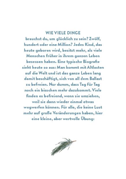 Beispielinhalt (Bild) Adventskalender Zero