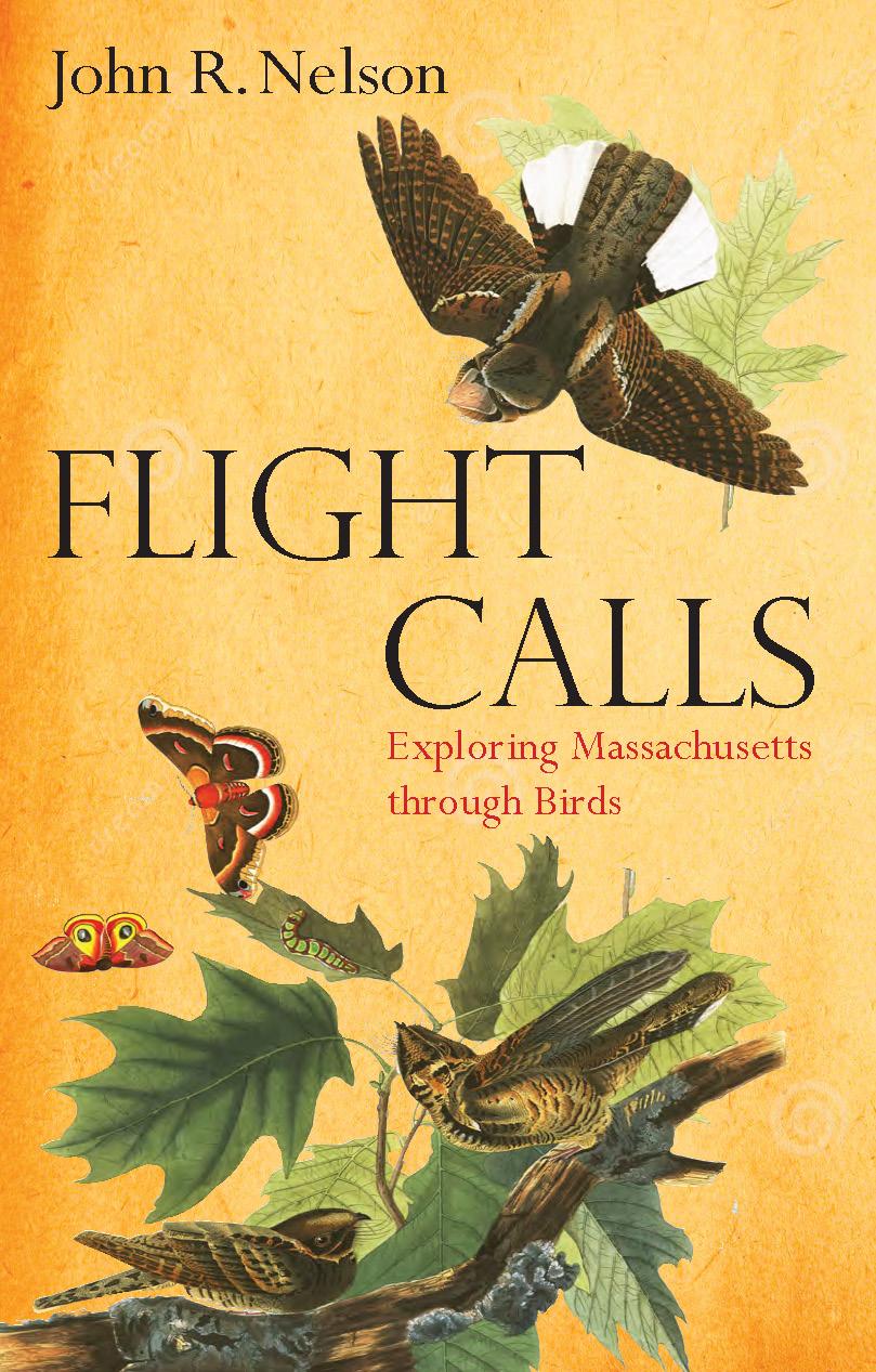 Vorderes Coverbild Flight Calls