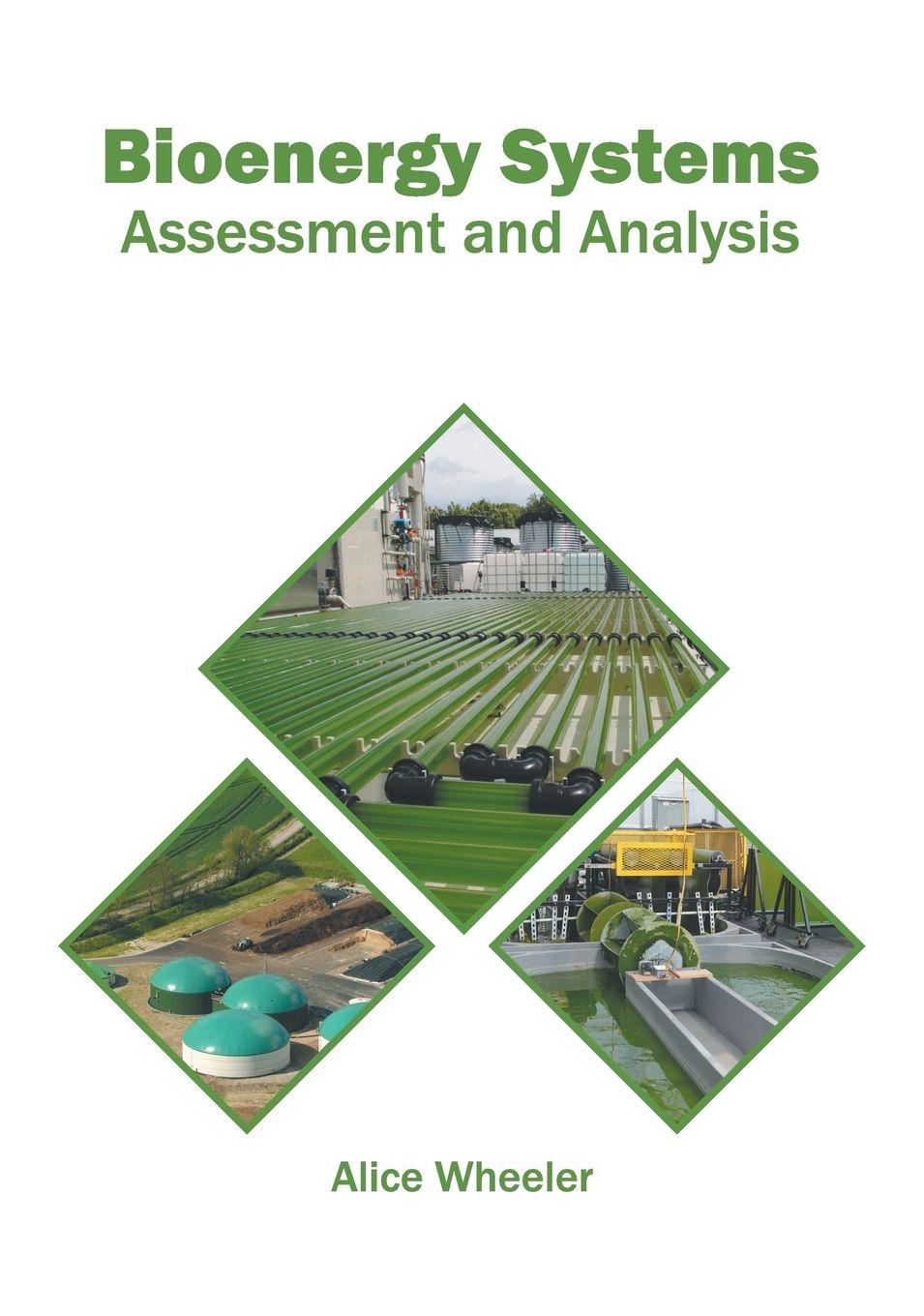 Vorderes Coverbild Bioenergy Systems: Assessment and Analysis