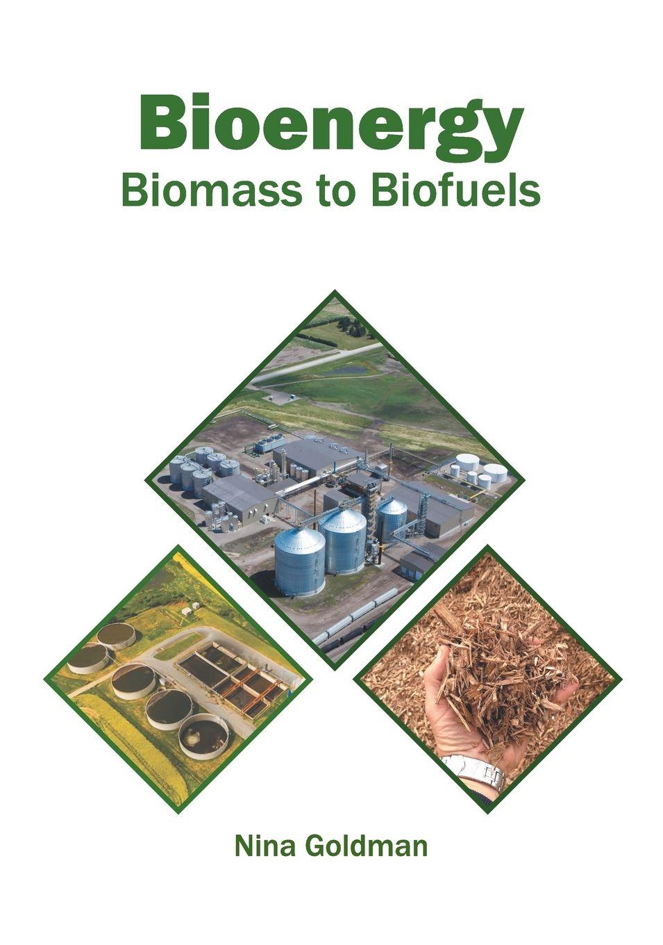 Vorderes Coverbild Bioenergy: Biomass to Biofuels
