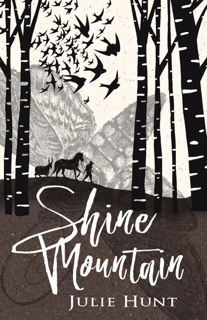Vorderes Coverbild Shine Mountain