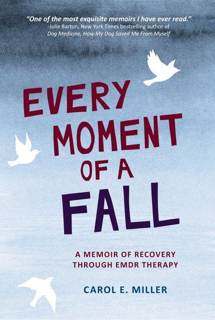 Vorderes Coverbild Every Moment of a Fall