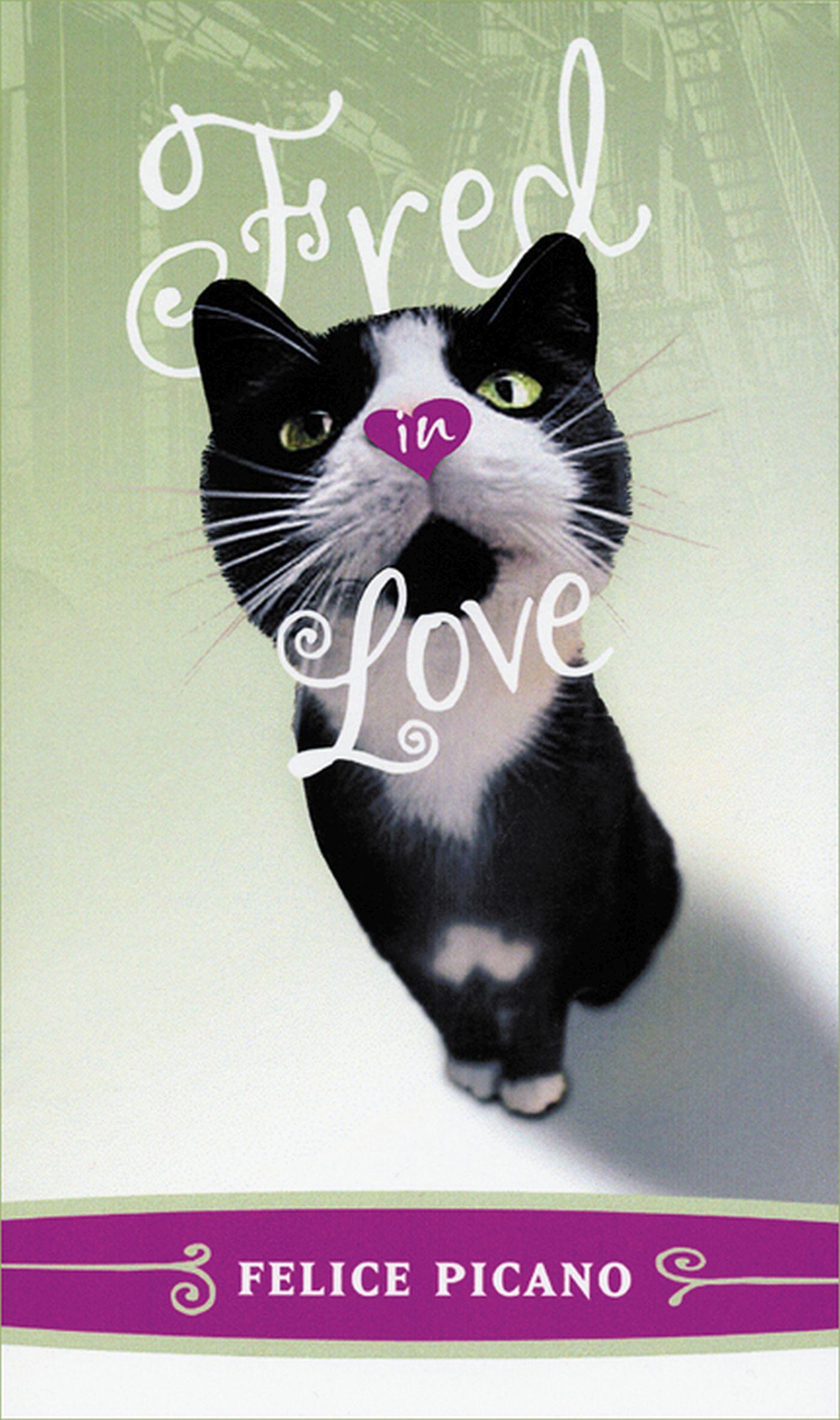 Vorderes Coverbild Fred in Love