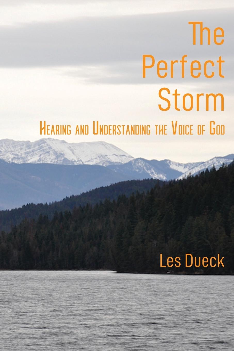 Vorderes Coverbild The Perfect Storm