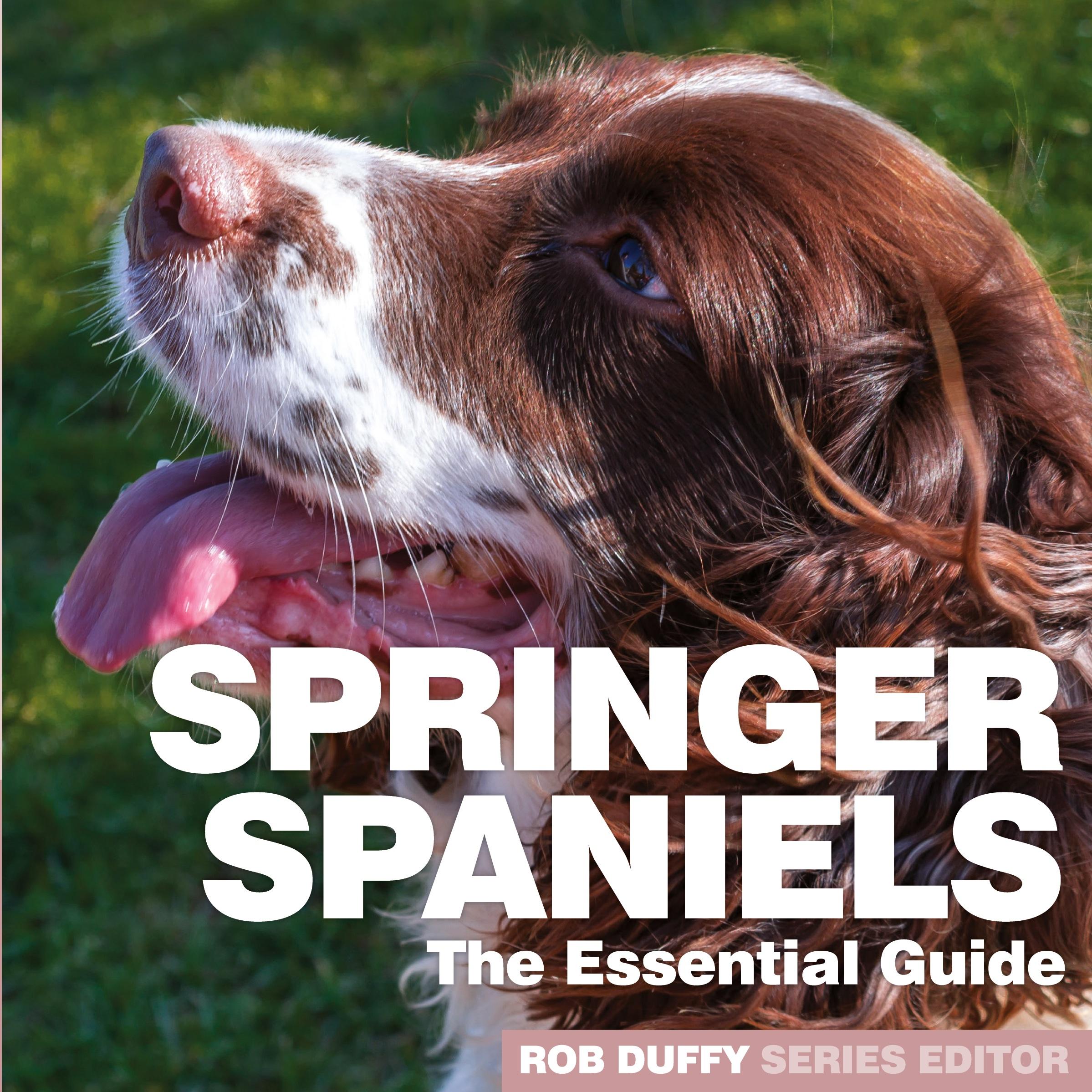 Vorderes Coverbild Springer Spaniels