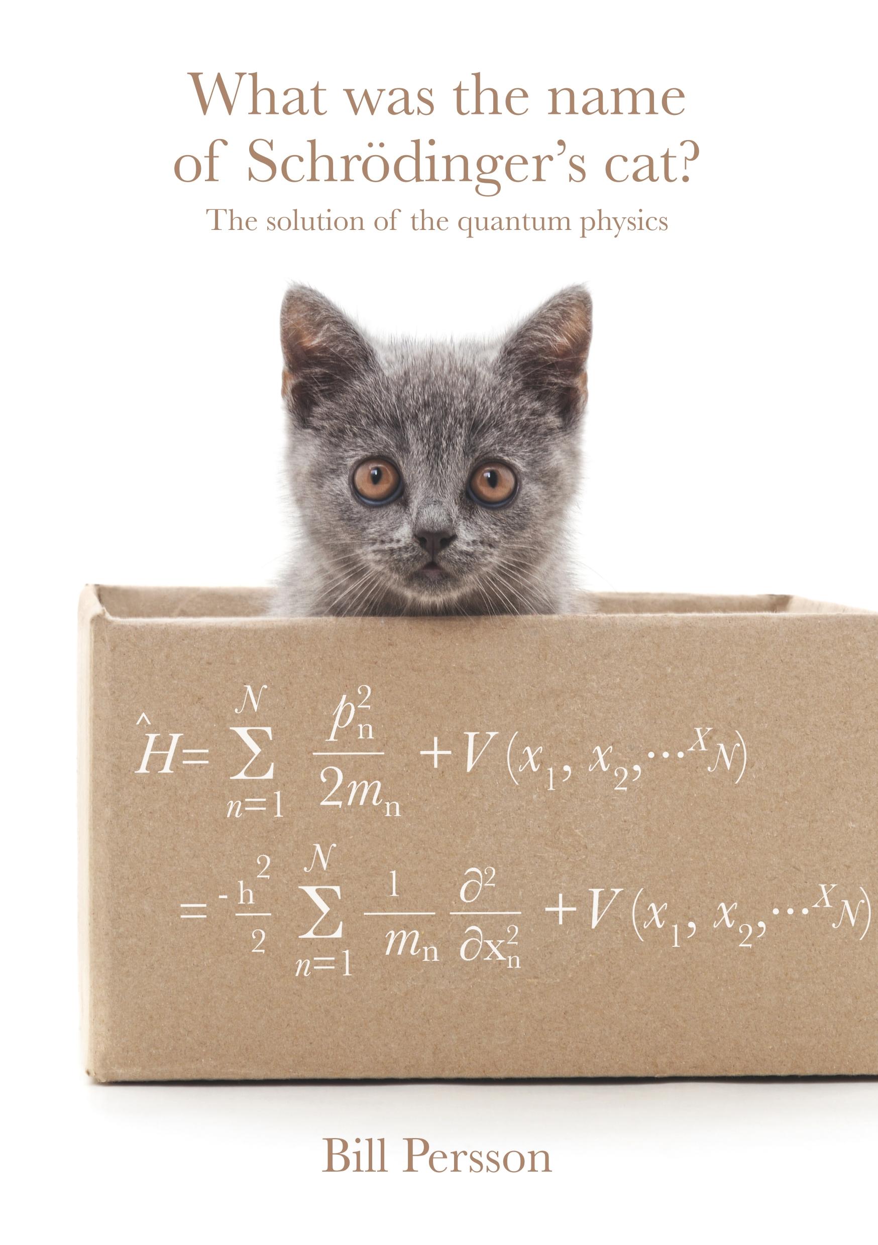 Vorderes Coverbild What was the name of Schrödinger's cat?