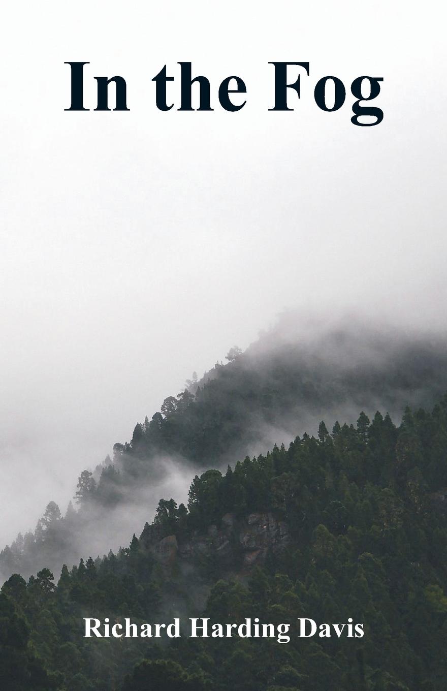 Vorderes Coverbild In the Fog