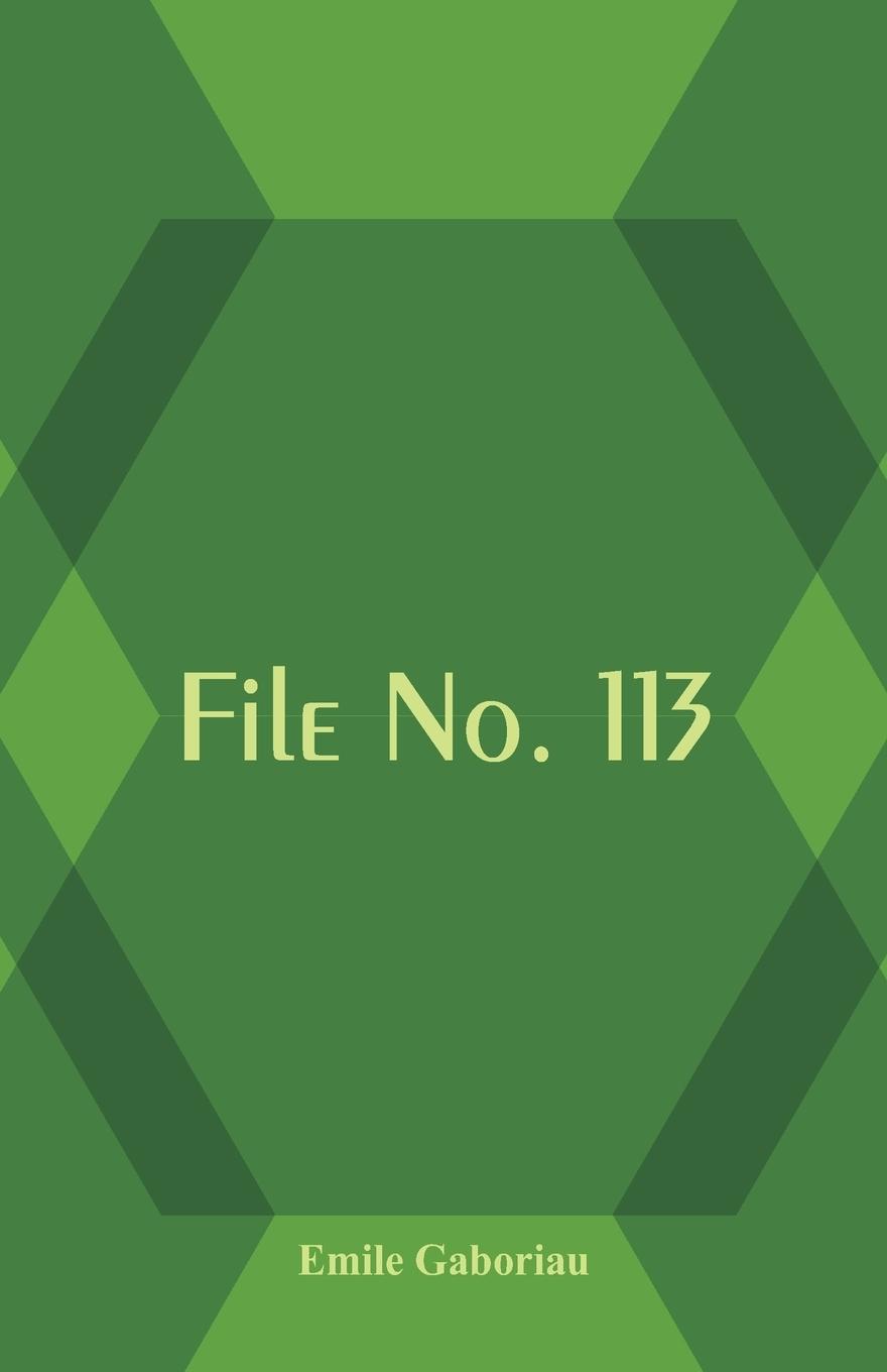 Vorderes Coverbild File No. 113