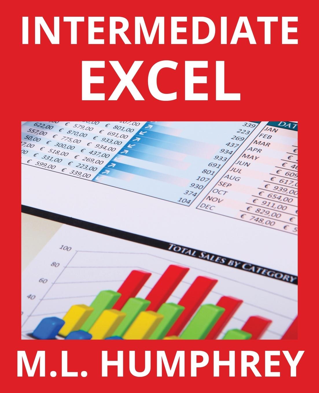 Vorderes Coverbild Intermediate Excel