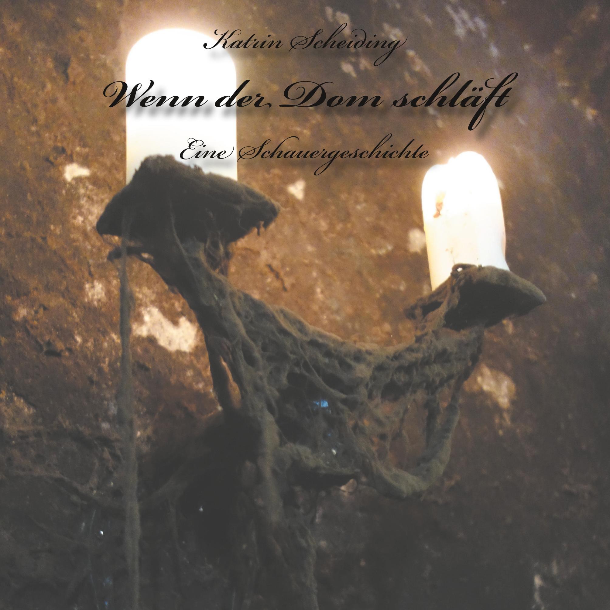 Vorderes Coverbild Wenn der Dom schläft