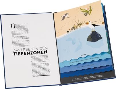 Beispielinhalt (Bild) Ozeane