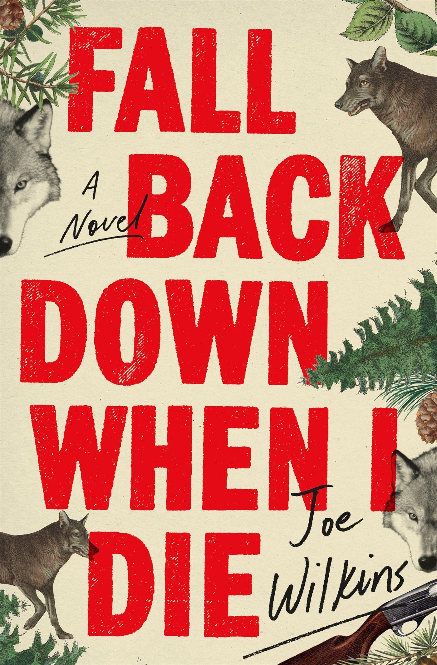 Vorderes Coverbild Fall Back Down When I Die