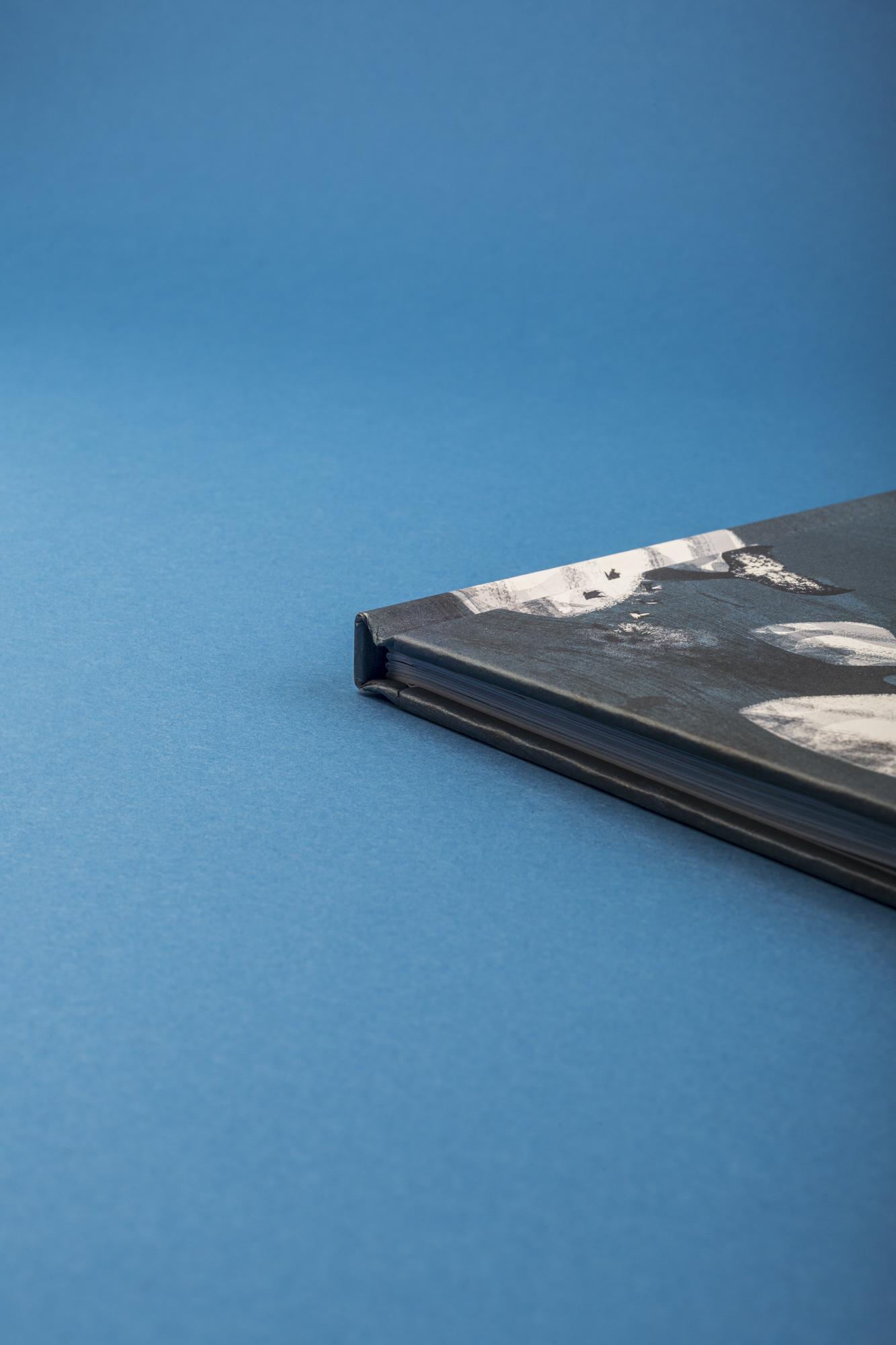 Beispielinhalt (Bild) Antarktis