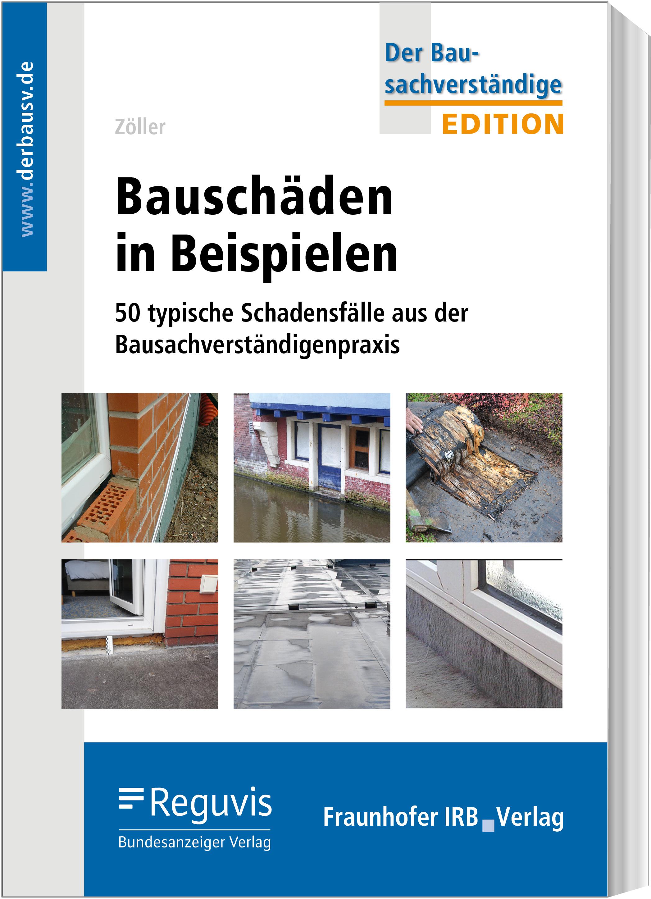 Vorderes Coverbild Bauschäden in Beispielen