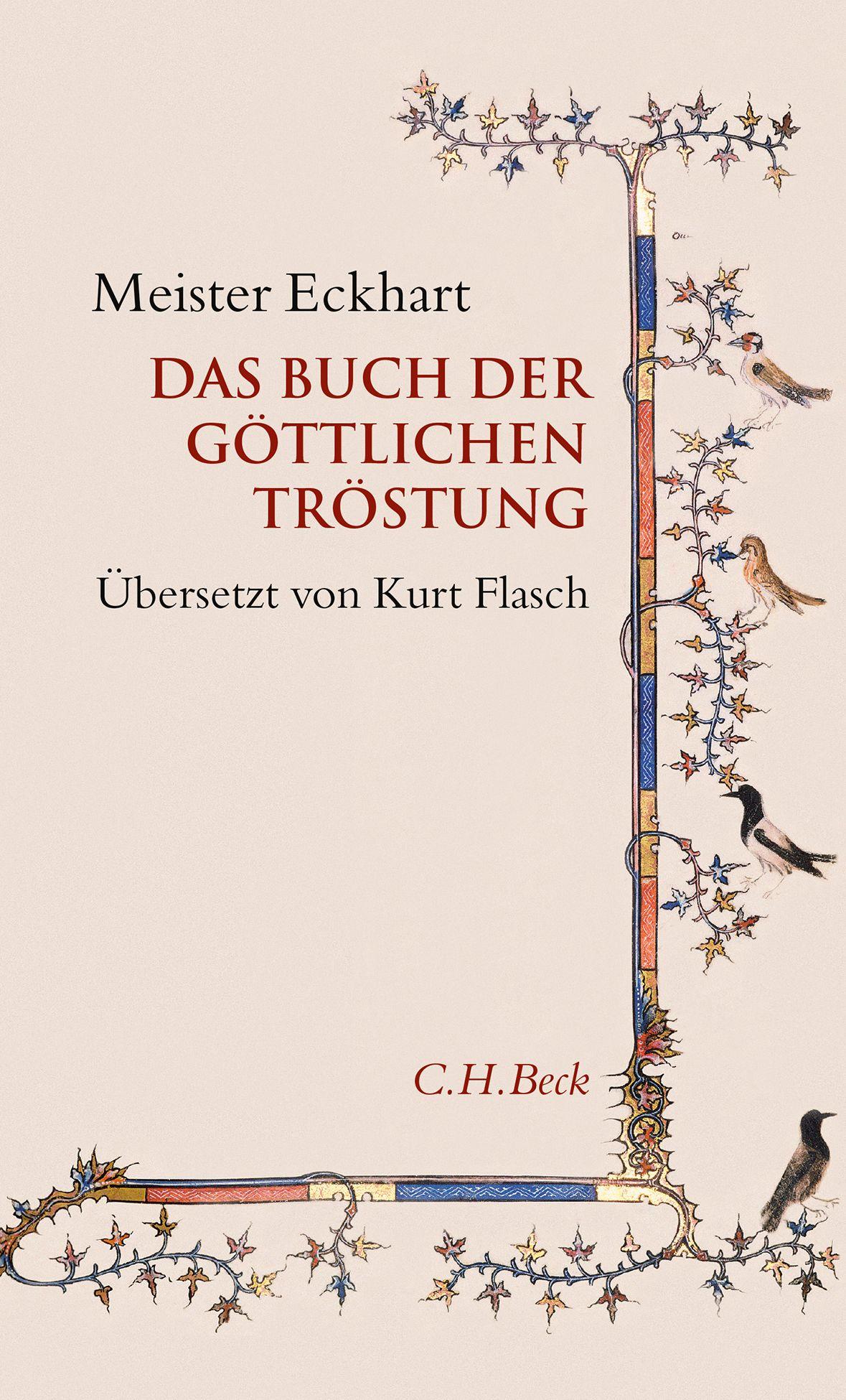 Vorderes Coverbild Das Buch der göttlichen Tröstung
