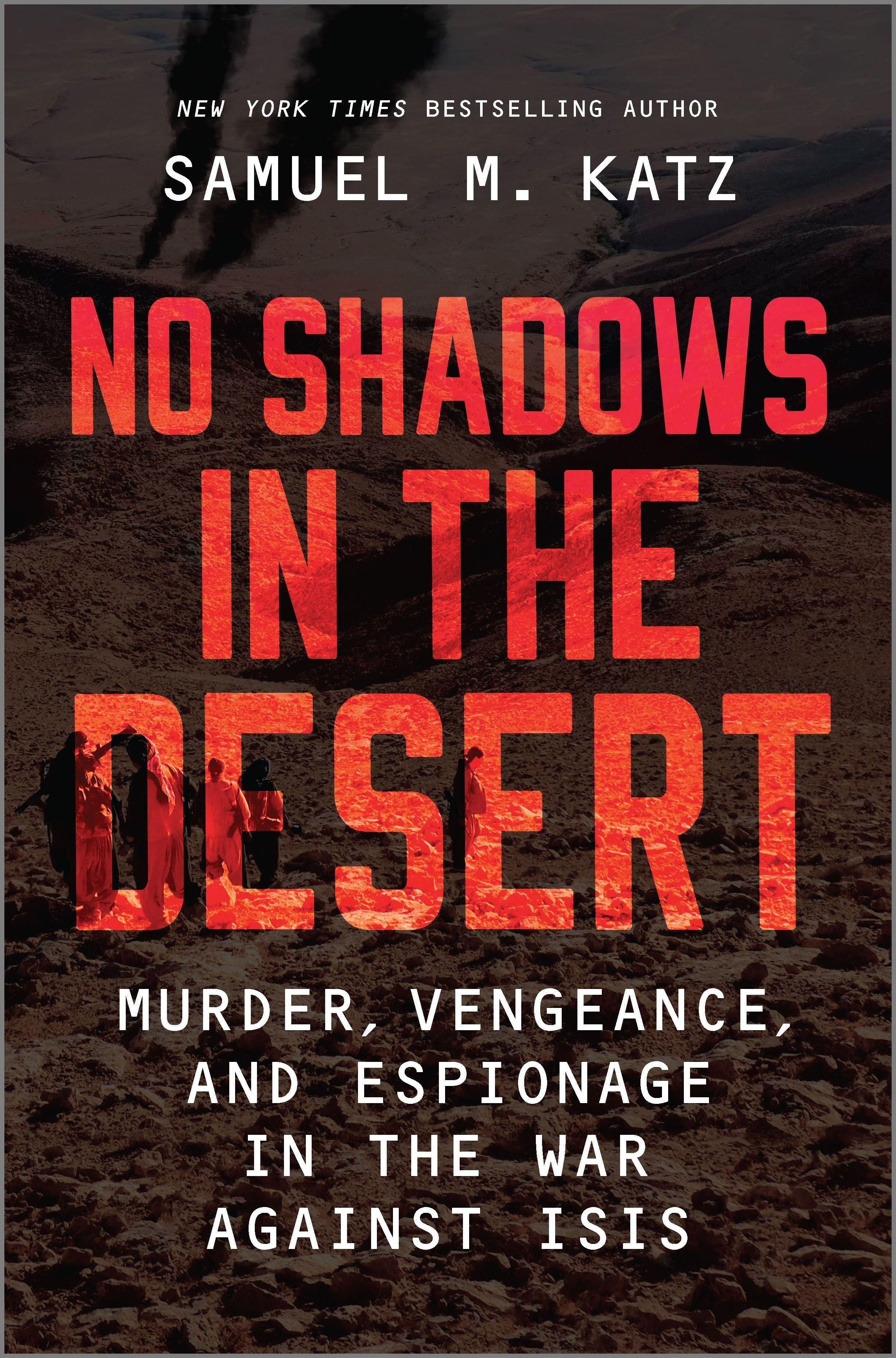 Vorderes Coverbild No Shadows in the Desert