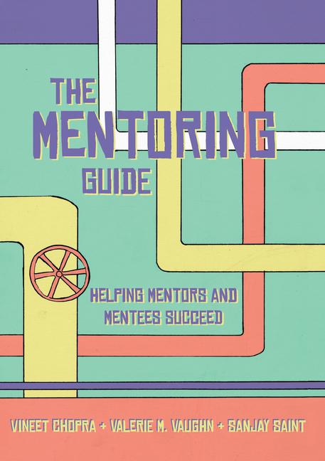 Vorderes Coverbild The Mentoring Guide