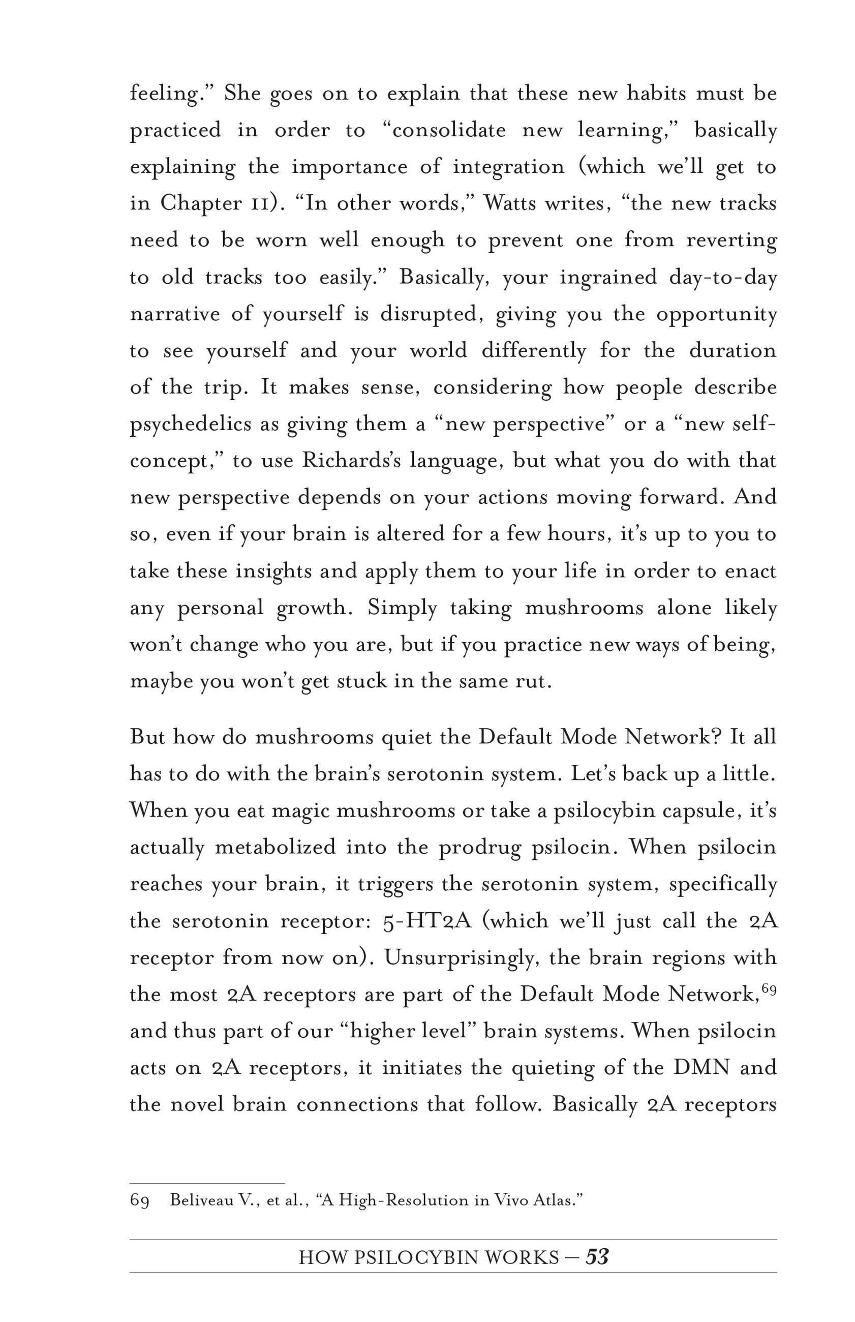 Beispielinhalt (Bild) Your Psilocybin Mushroom Companion