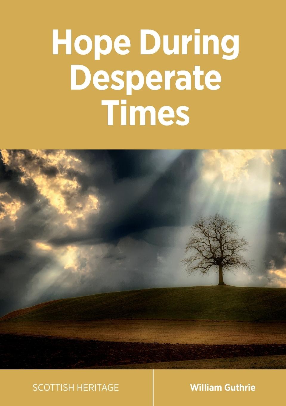 Vorderes Coverbild Hope During Desperate Times