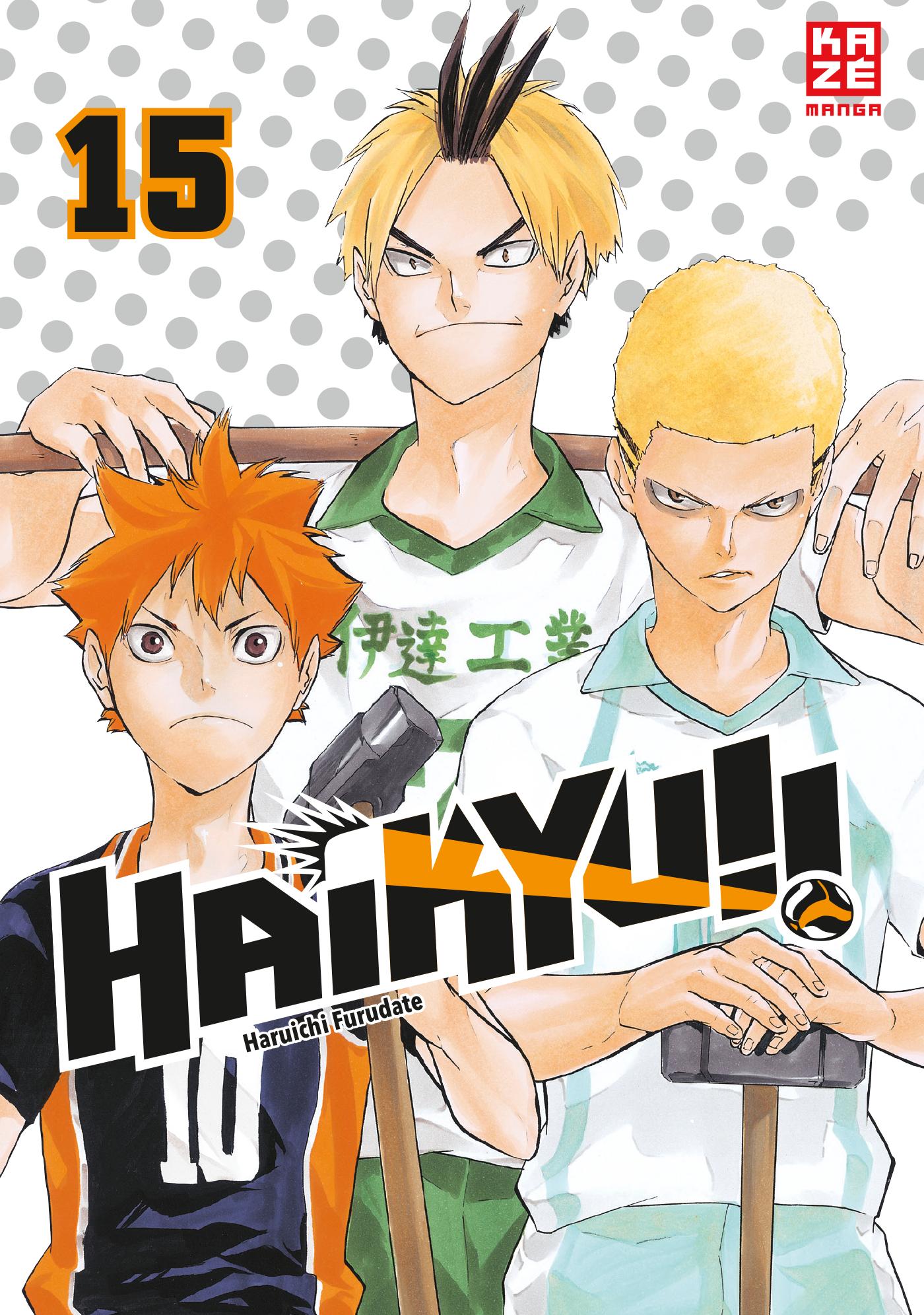 Vorderes Coverbild Haikyu!! - Band 15