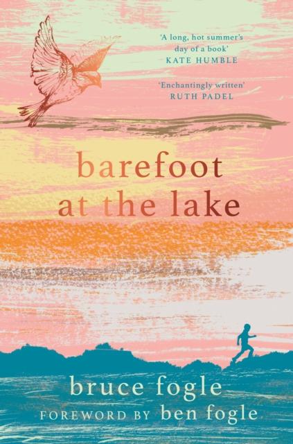 Vorderes Coverbild Barefoot at the Lake