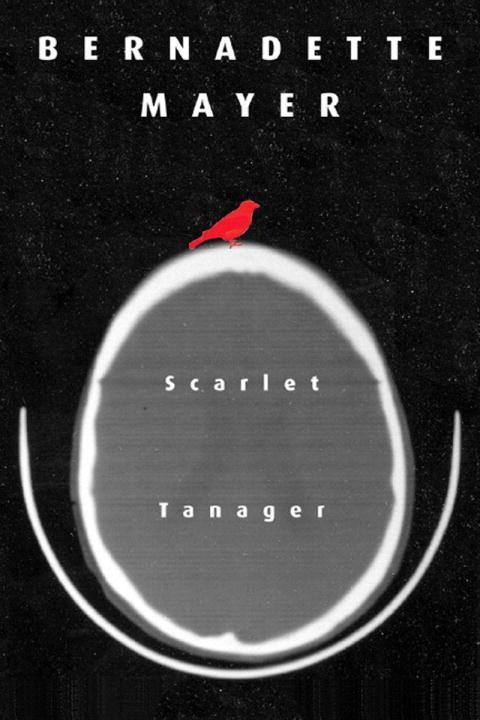 Vorderes Coverbild Scarlett Tanager: Poetry