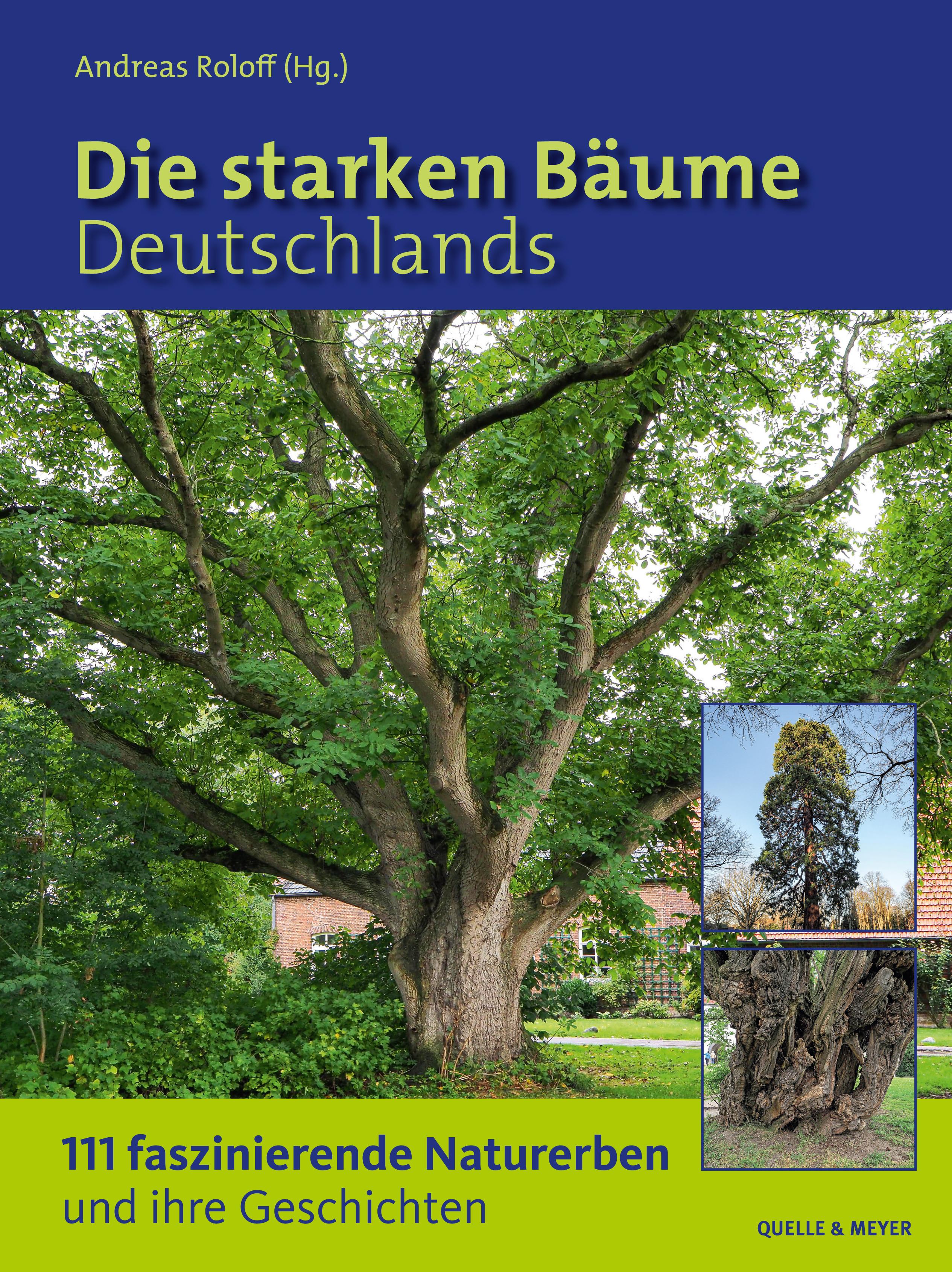 Vorderes Coverbild Die starken Bäume Deutschlands