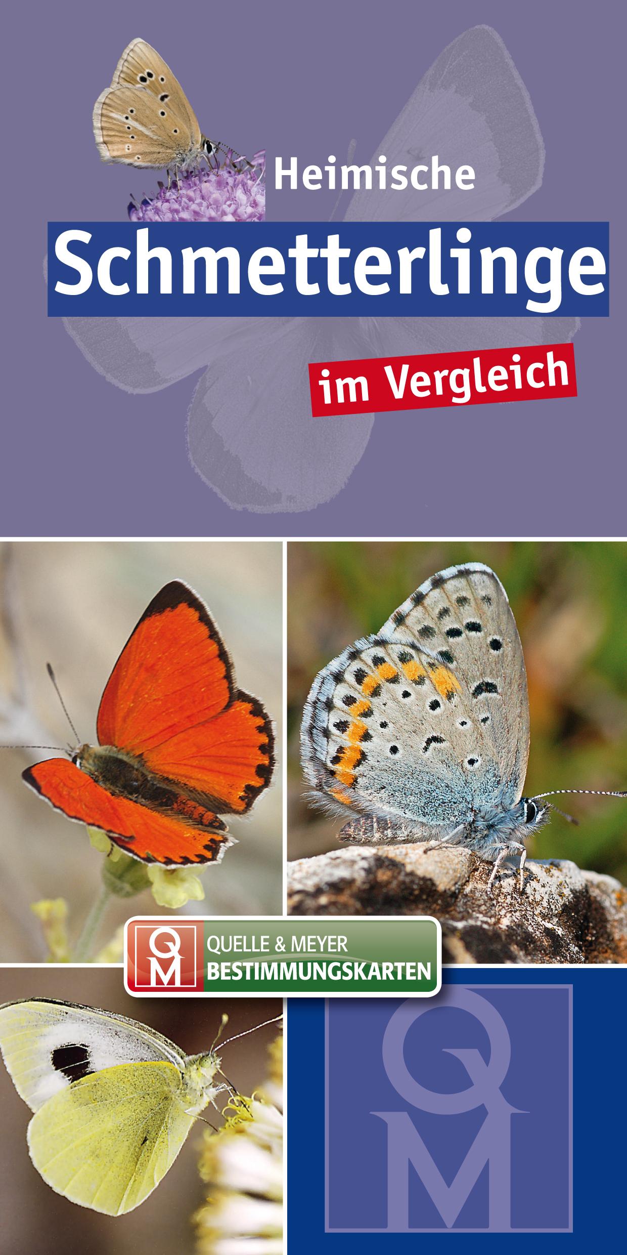 Vorderes Coverbild Heimische Schmetterlinge