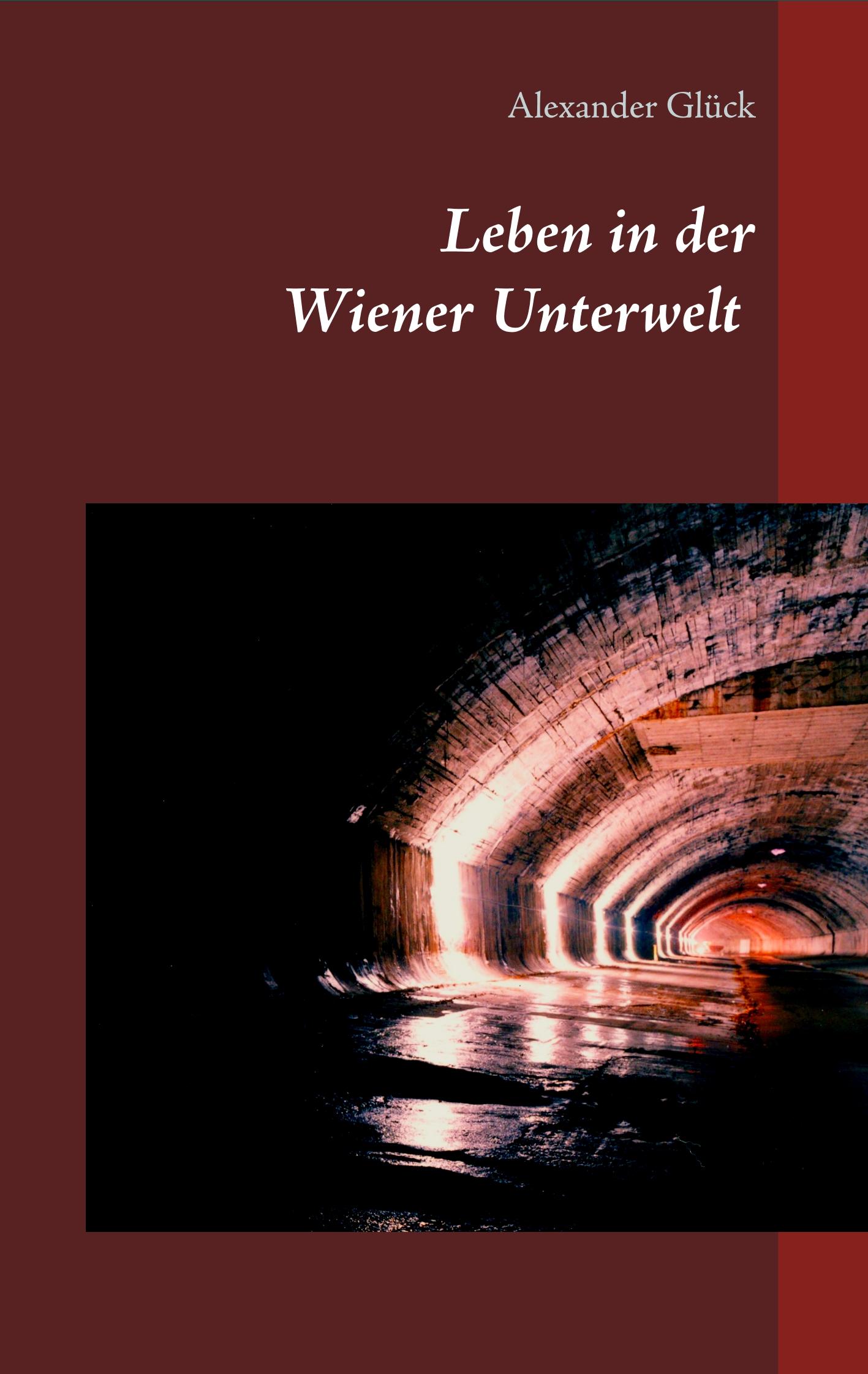Vorderes Coverbild Leben in der Wiener Unterwelt