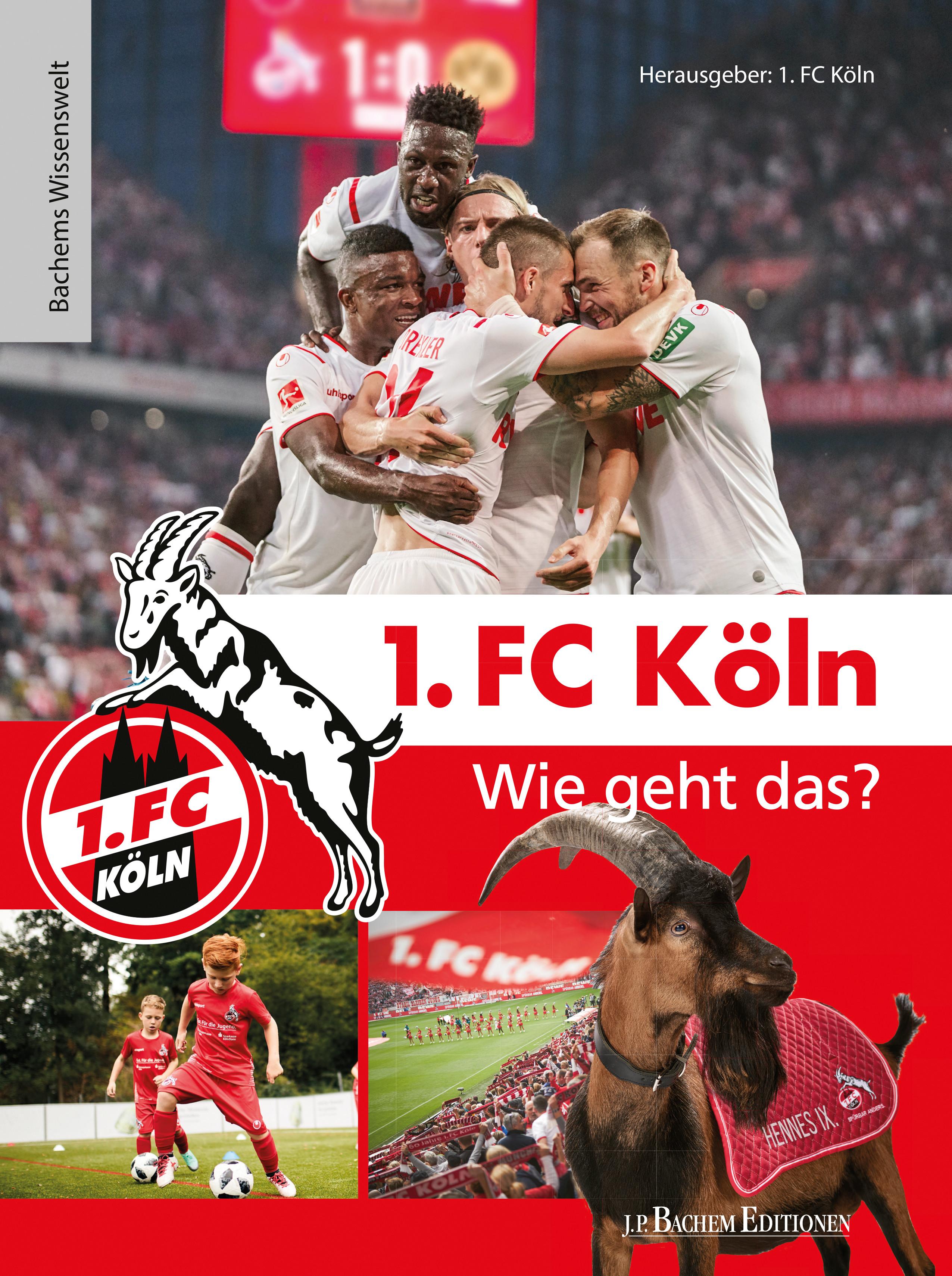 Vorderes Coverbild 1. FC Köln - Wie geht das?