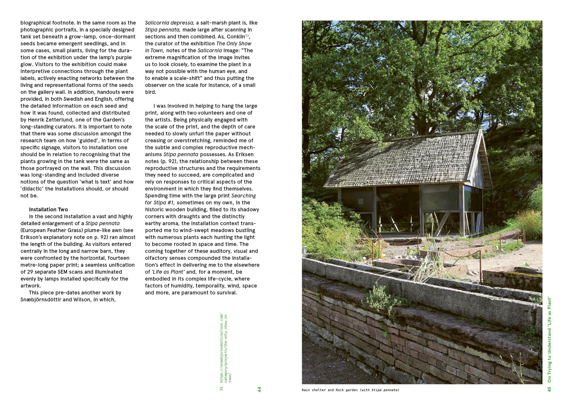 Beispielinhalt (Bild) Beyond Plant Blindness
