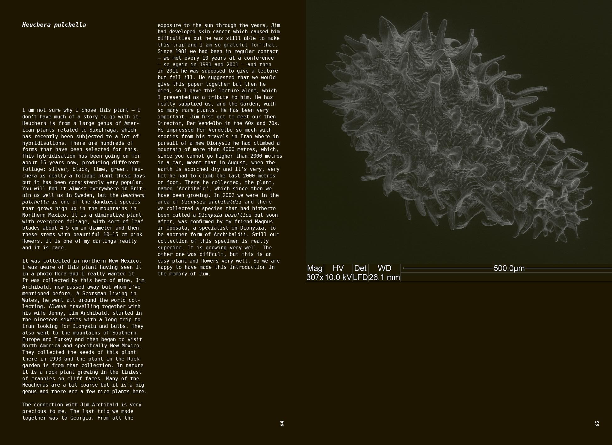 Beispielinhalt (Bild) Beyond Plant Blindness
