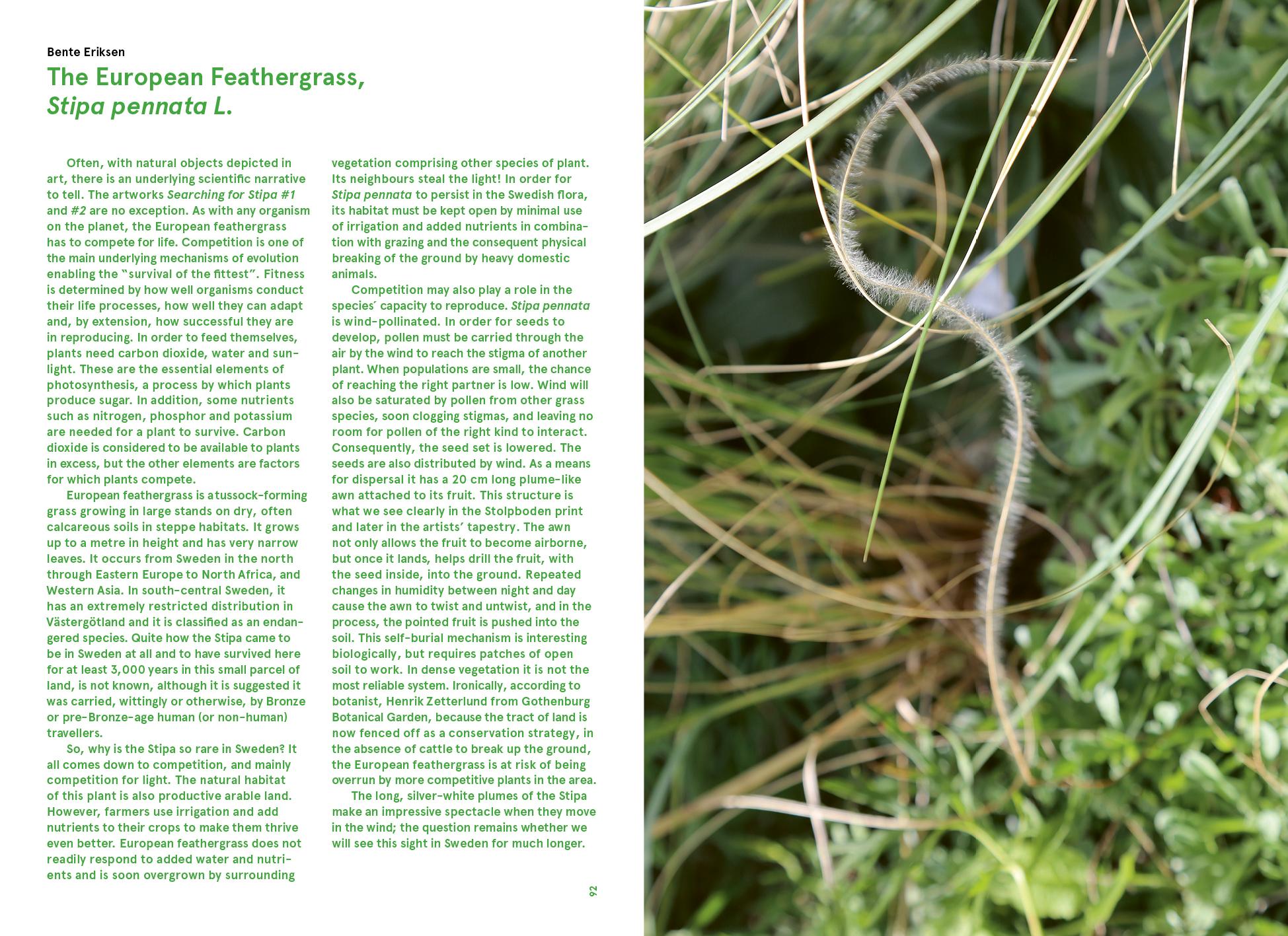 Beispielinhalt (Bild) Beyond Plant Blindness