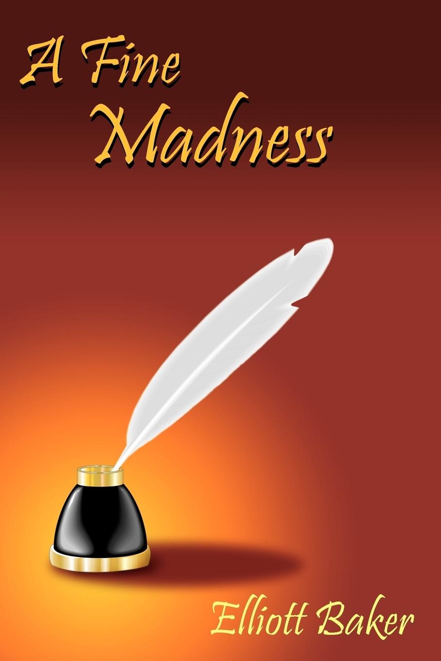 Vorderes Coverbild A Fine Madness