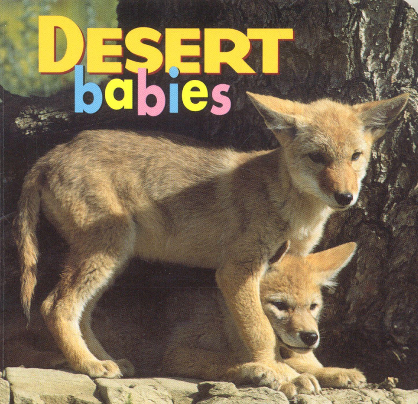 Vorderes Coverbild Desert Babies