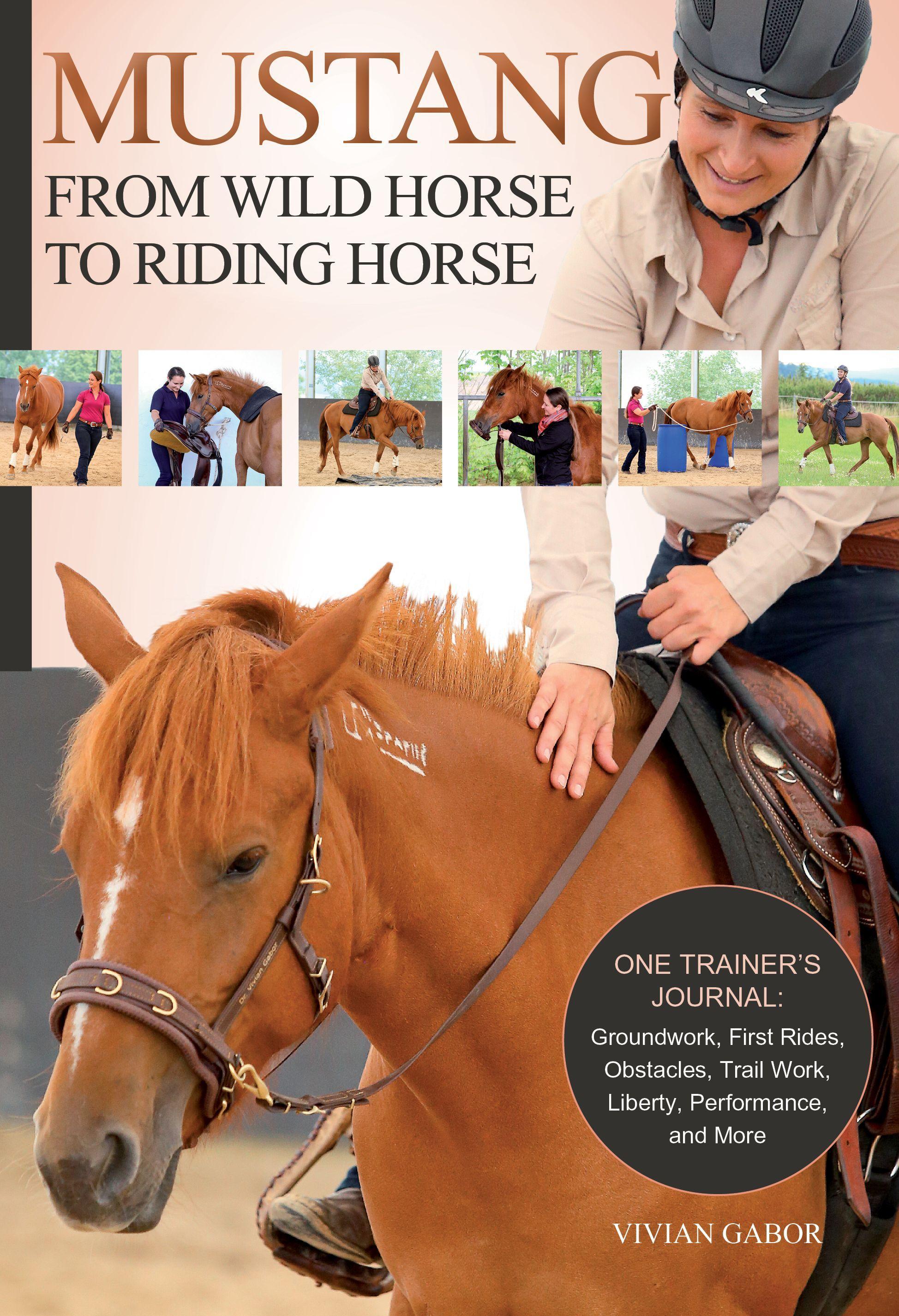 Vorderes Coverbild Mustang: From Wild Horse to Riding Horse