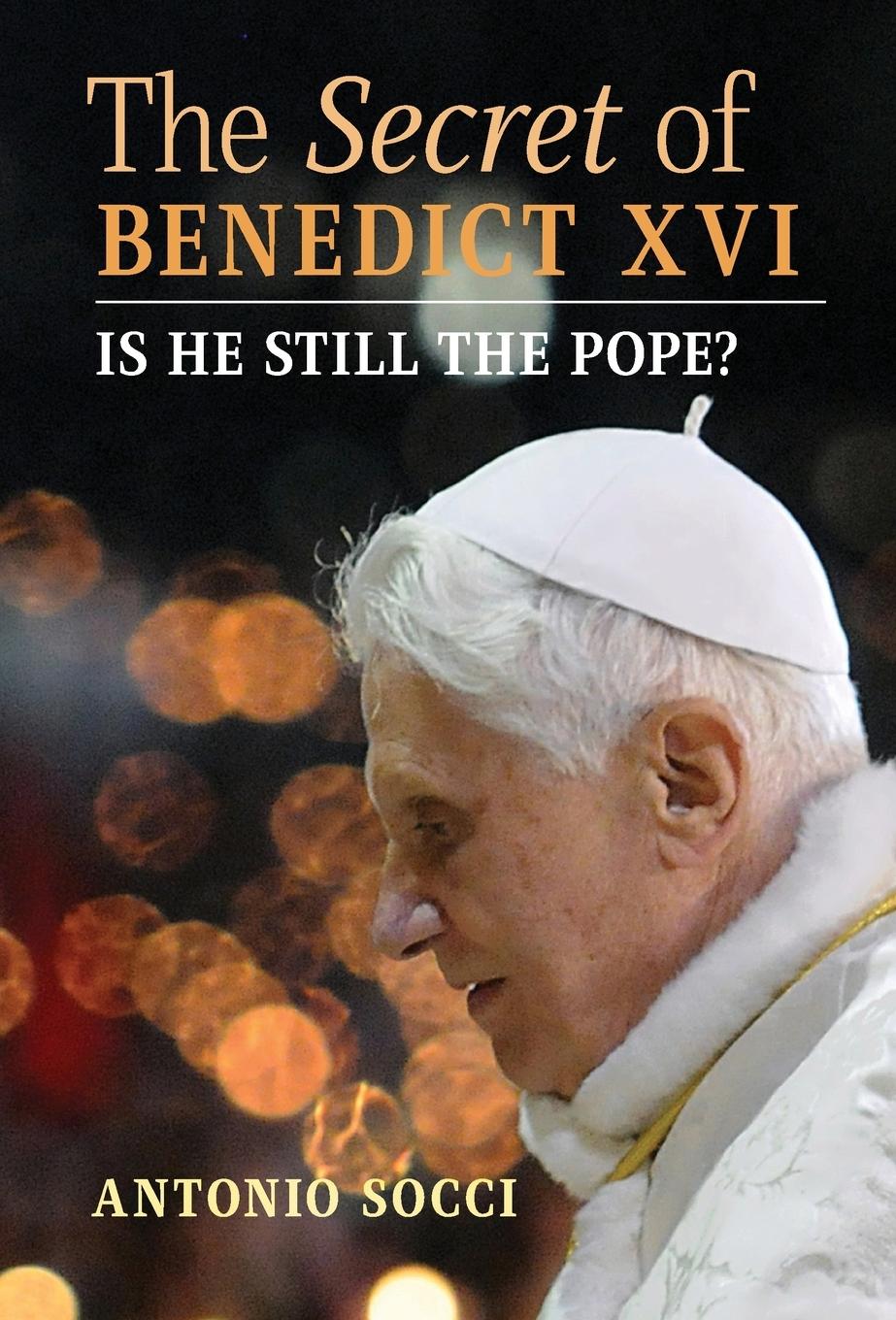 Vorderes Coverbild The Secret of Benedict XVI